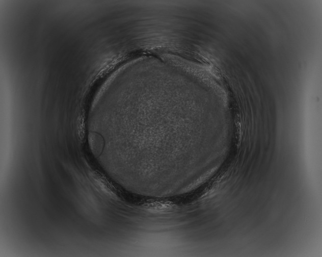 X0000086970642200705071357