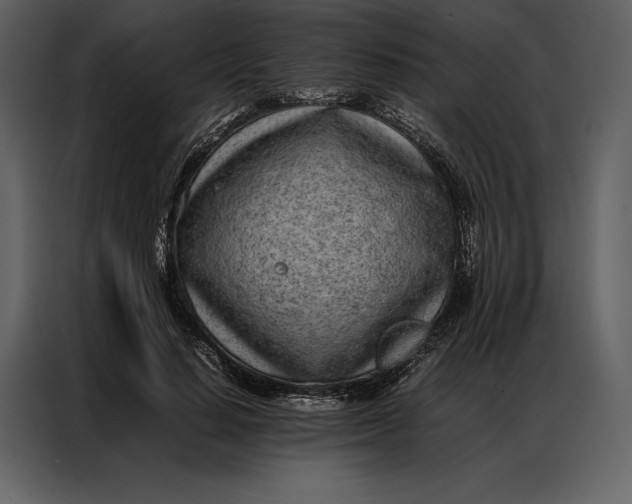 X0000086970644200705071357