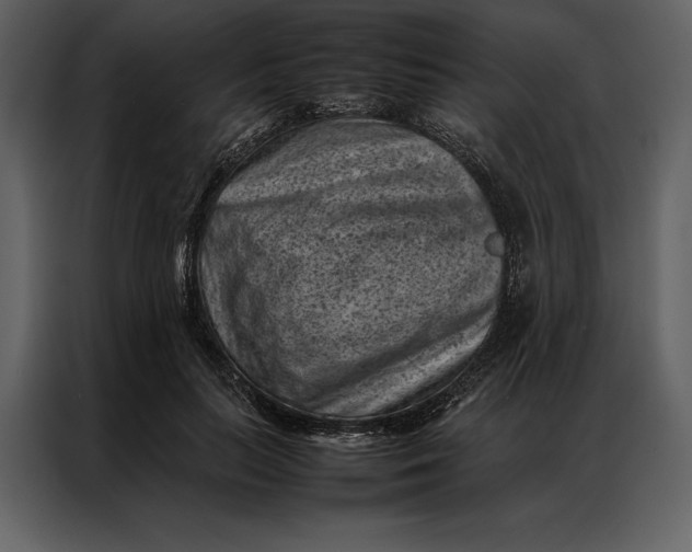 X0000086970647200705071358