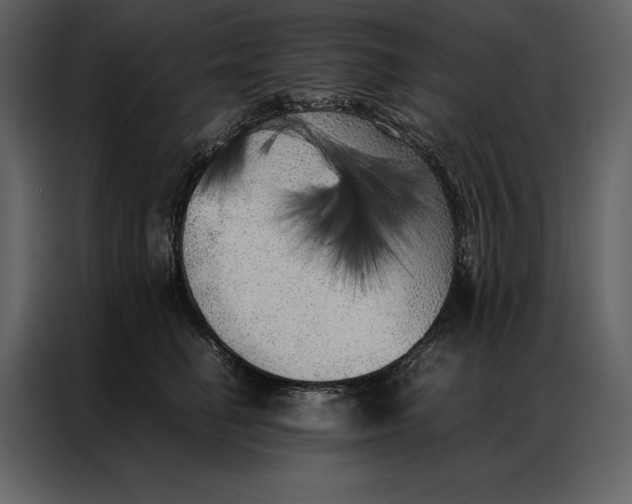 X0000086970662200705071358