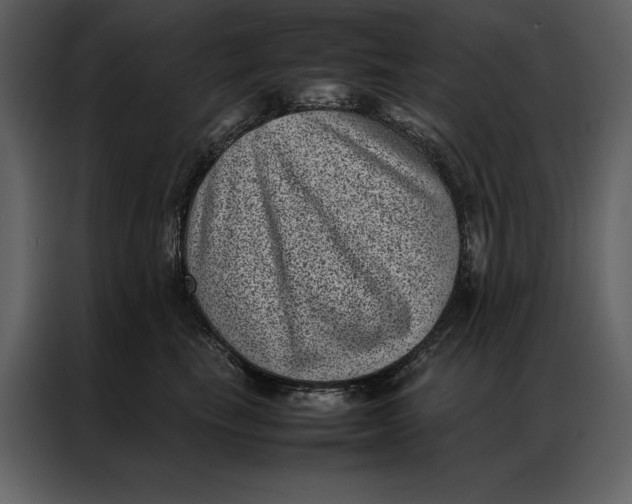 X0000086970665200705071358