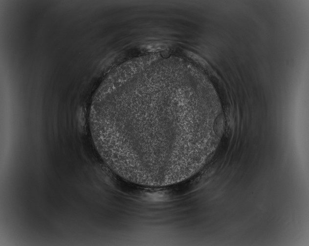 X0000086970667200705071358