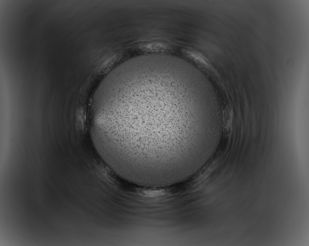 X0000086970669200705071358