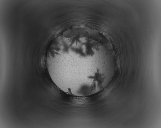 X0000086970671200705071358