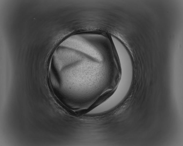 X0000086970673200705071357