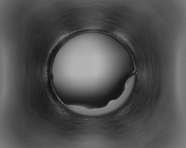 X0000086970676200705071357