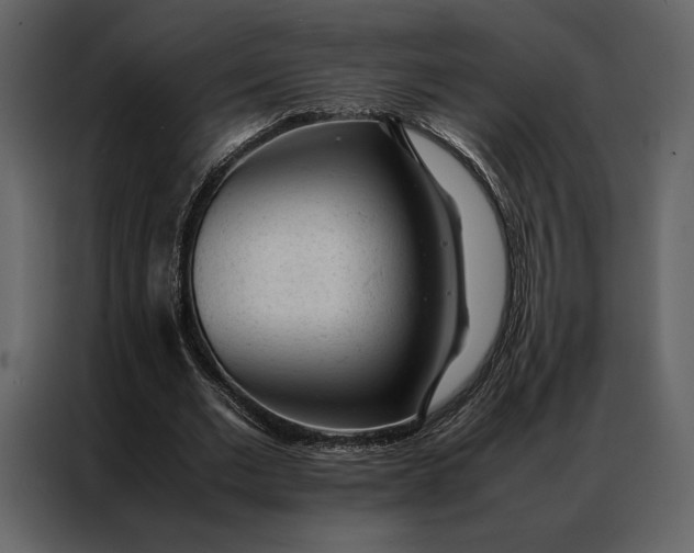 X0000086970677200705071357