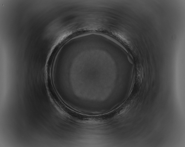 X0000086970678200705071357