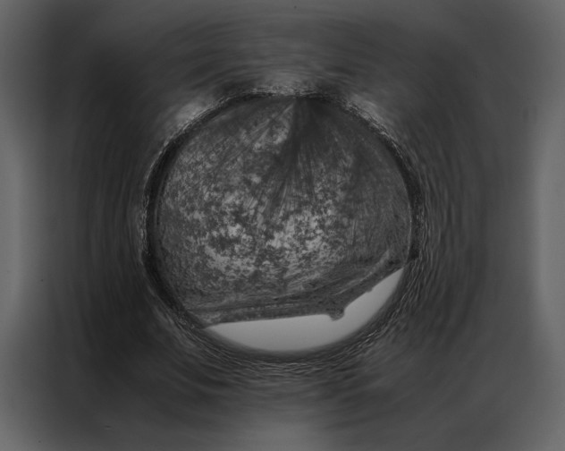 X0000086970679200705071357