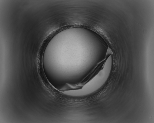 X0000086970680200705071357