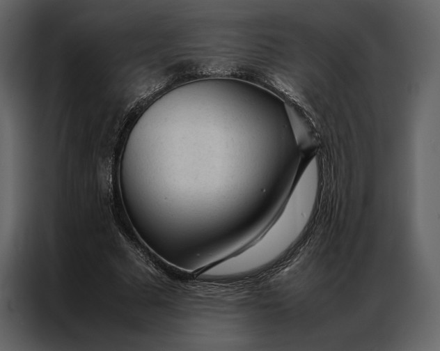 X0000086970681200705071357