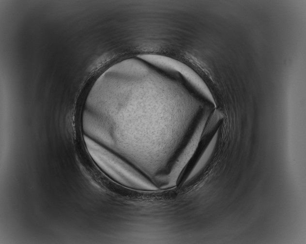 X0000086970682200705071357