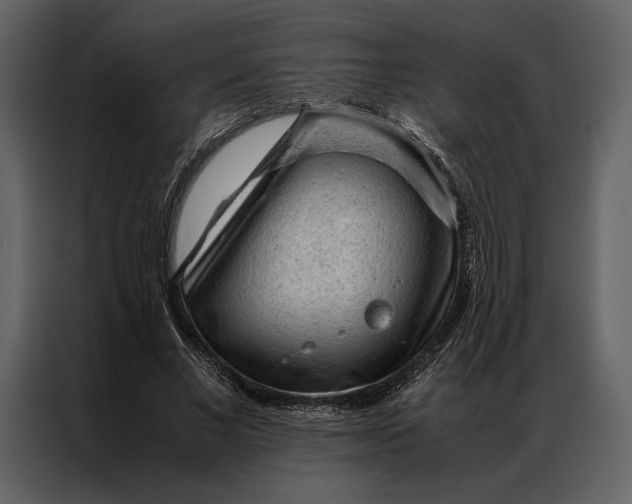 X0000086970685200705071357