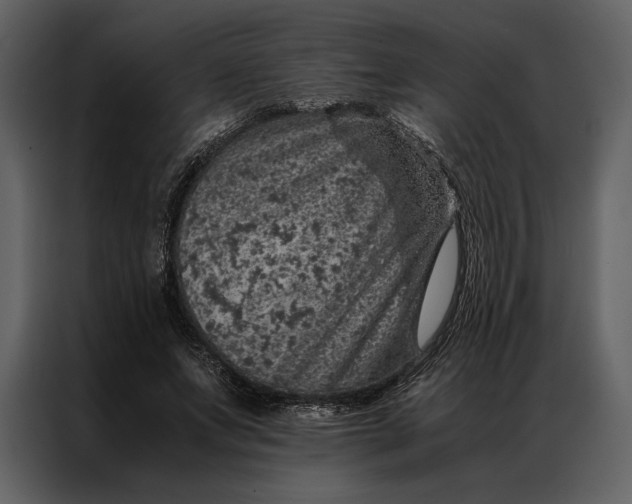 X0000086970687200705071357