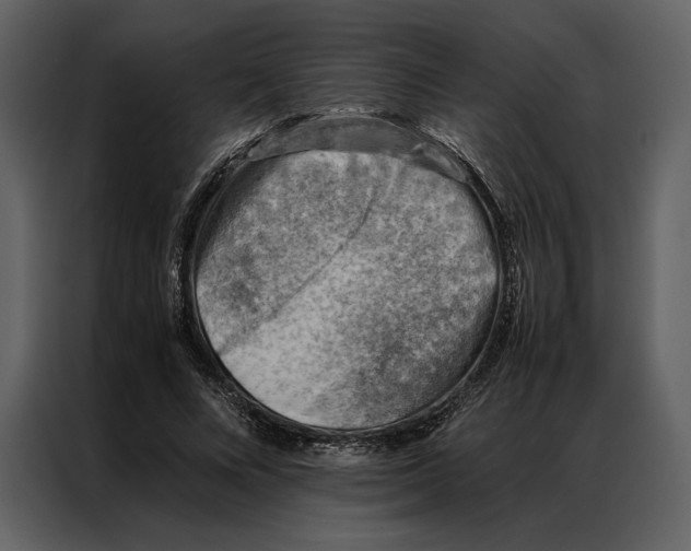 X0000086970688200705071357