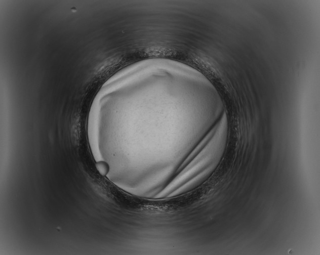 X0000086970690200705071357