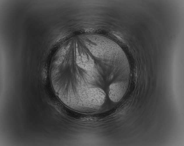 X0000086970691200705071357