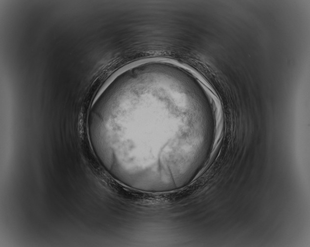 X0000086970696200705071357