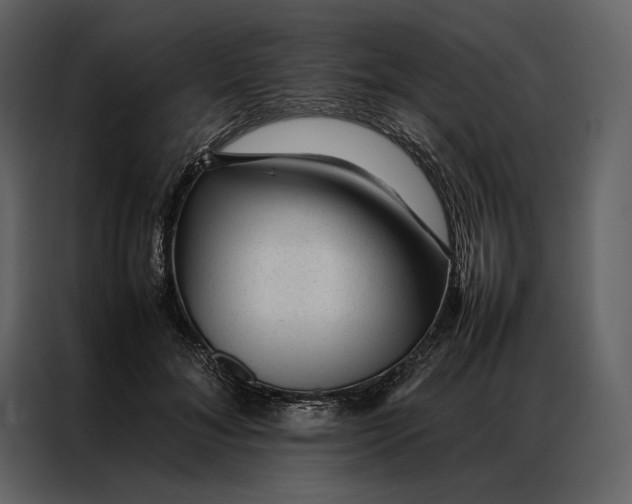 X0000086970700200705071357