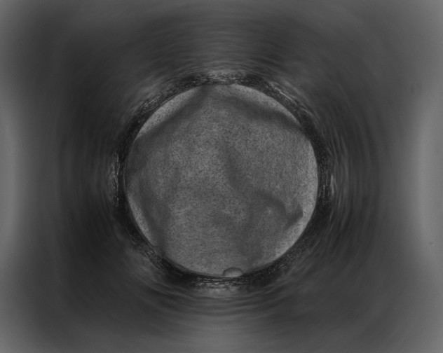 X0000086970702200705071357