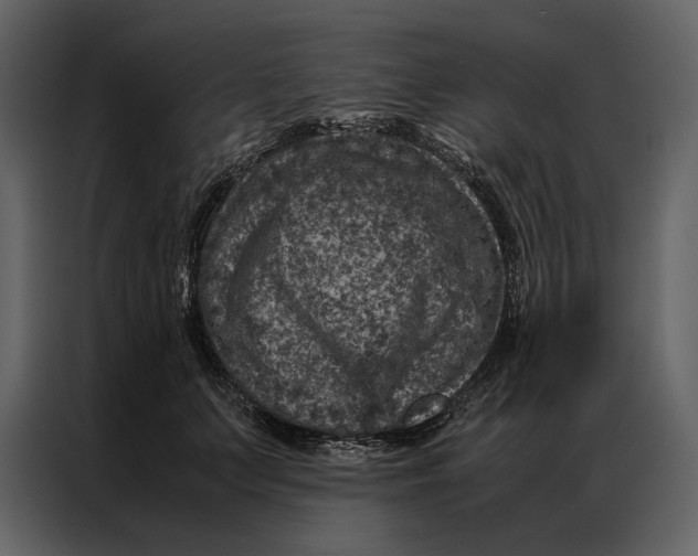 X0000086970703200705071357