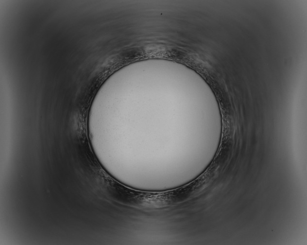 X0000086970705200705071357