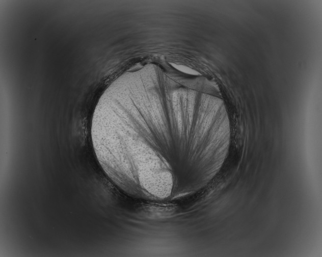 X0000086970707200705071357