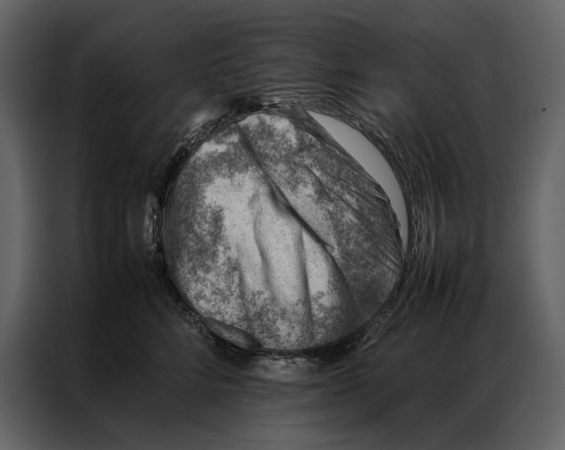 X0000086970712200705071357