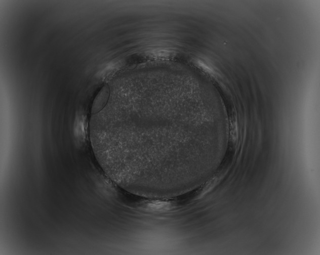 X0000086970718200705071356