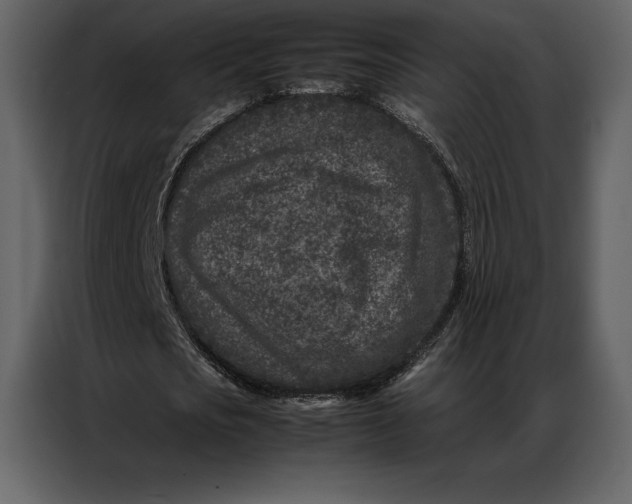 X0000086970721200705071356