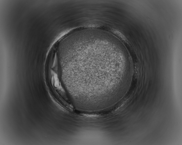 X0000086970726200705071356