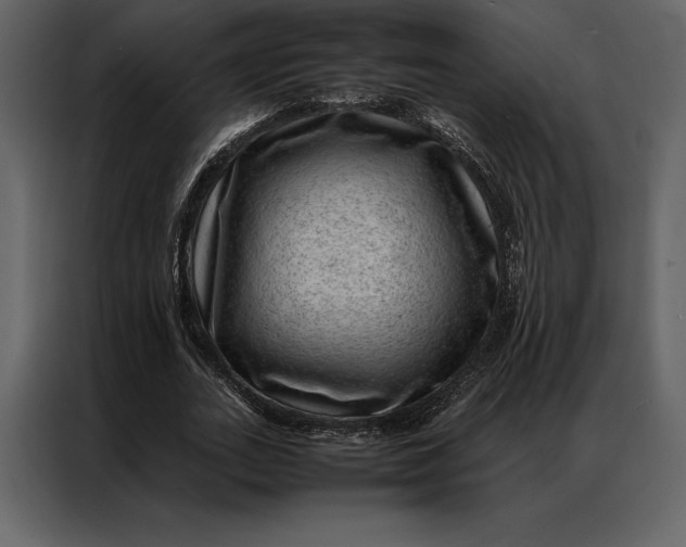 X0000086970727200705071356