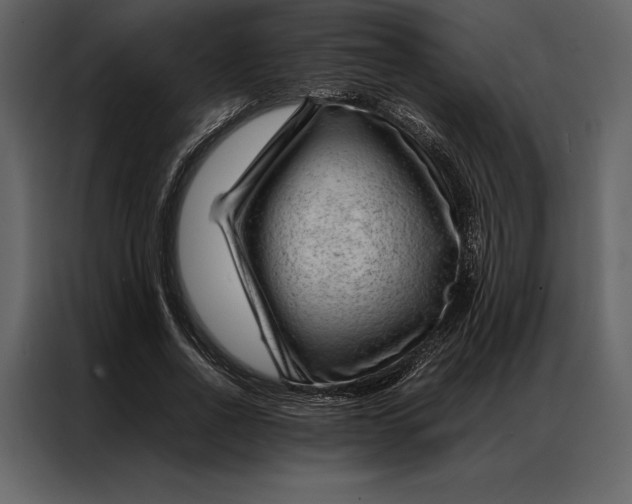 X0000086970734200705071356