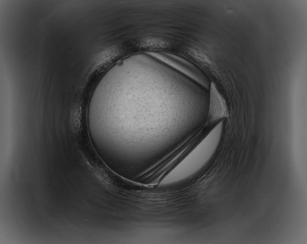 X0000086970735200705071356