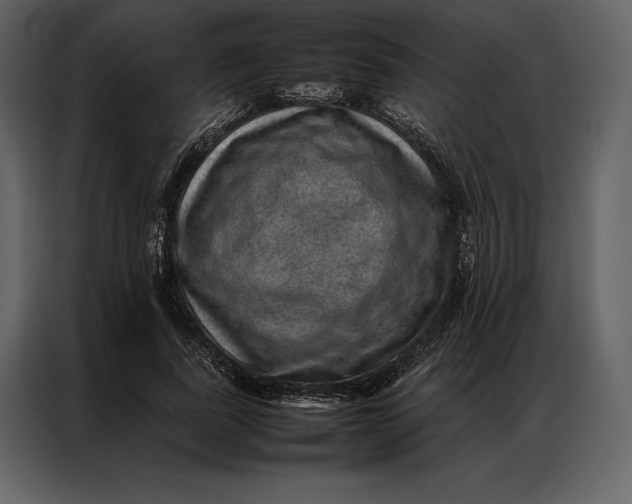 X0000086970739200705071356