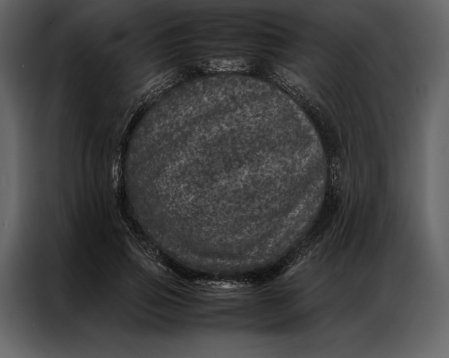 X0000086970741200705071356