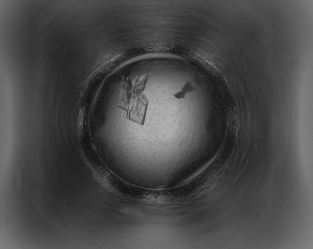 X0000086970742200705071356