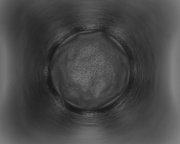 X0000086970746200705071356