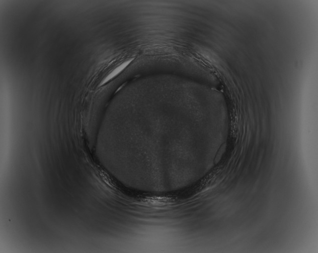 X0000086970748200705071356