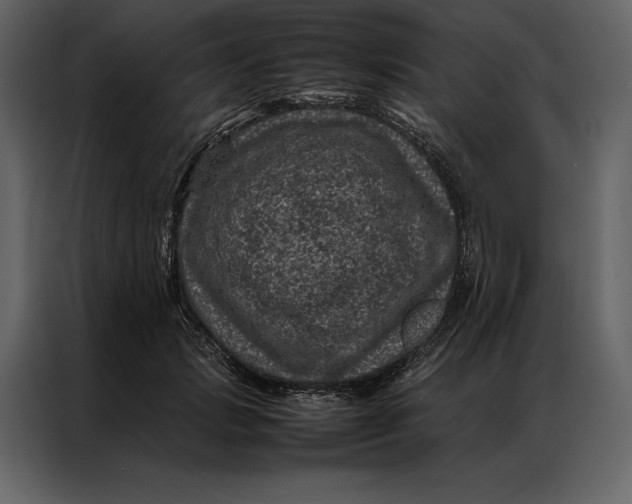 X0000086970749200705071356