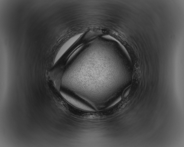 X0000086970750200705071356