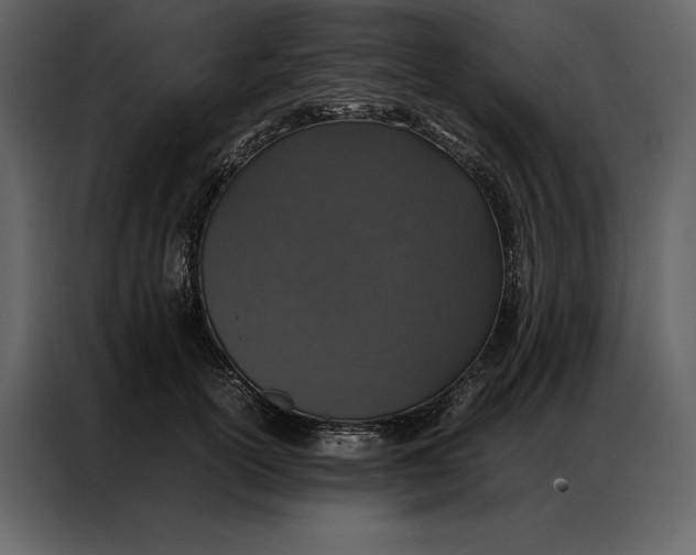 X0000086970754200705071356