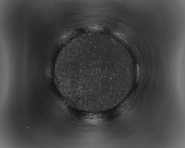 X0000086970760200705071356