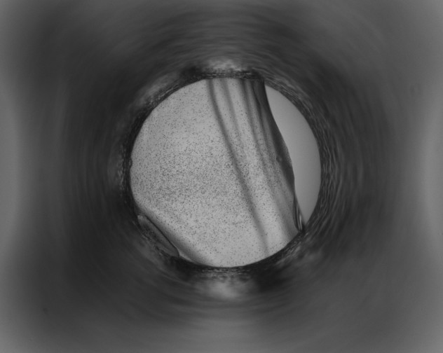 X0000086970762200705071356