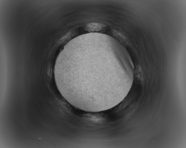 X0000086970763200705071356