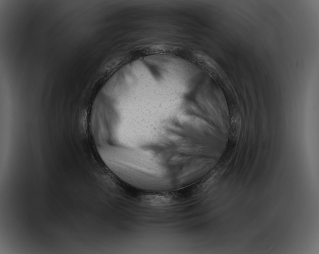 X0000086970765200705071356