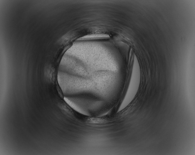 X0000086970766200705071356