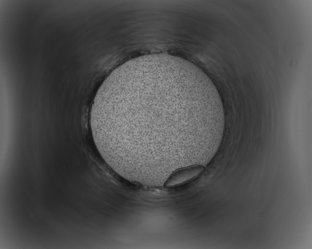 X0000086970768200705071356