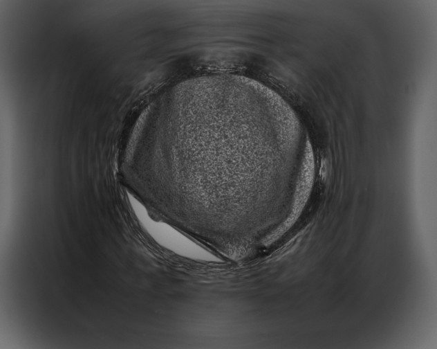 X0000086970771200705071356