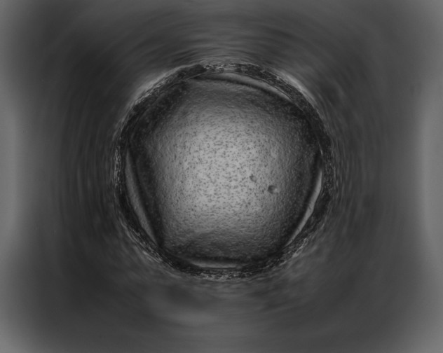 X0000086970775200705071356